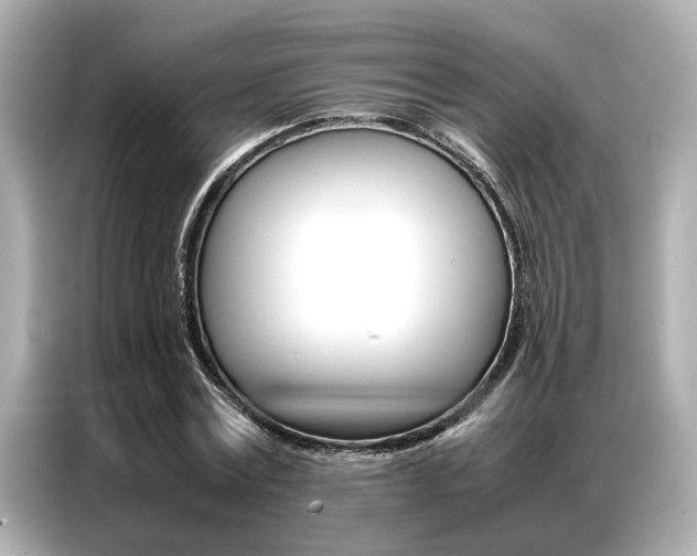 X0000087060779200704180936