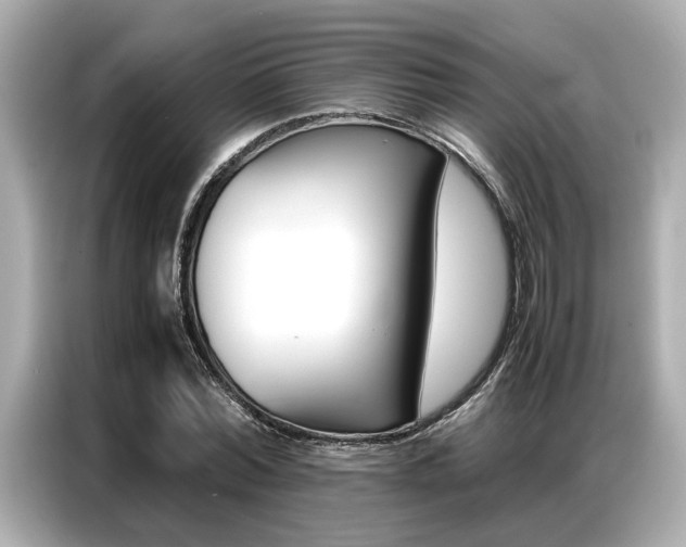 X0000087060780200704180936