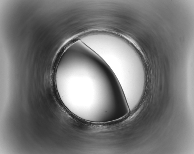 X0000087060783200704180936