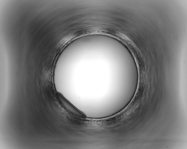 X0000087060785200704180936