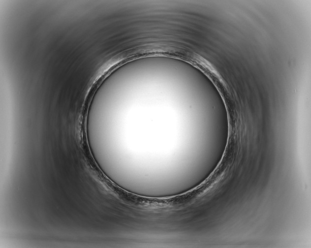 X0000087060786200704180936