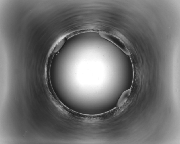X0000087060788200704180936