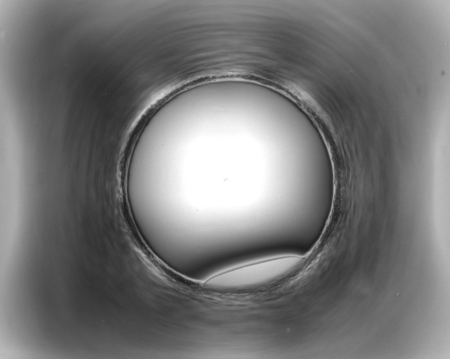 X0000087060789200704180936
