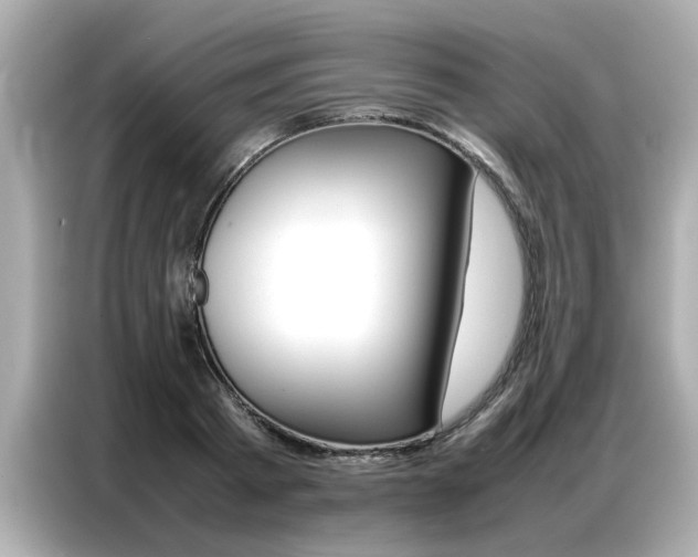 X0000087060793200704180936