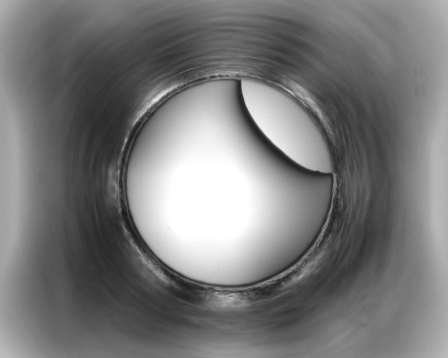 X0000087060794200704180936
