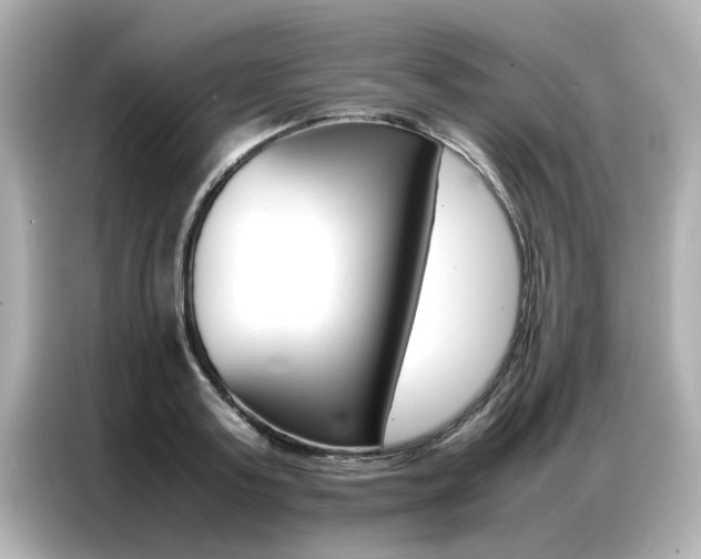 X0000087060795200704180936