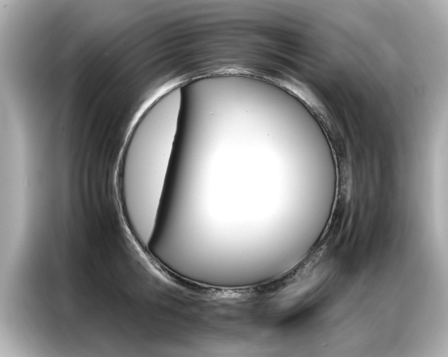 X0000087060806200704180936