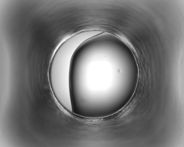 X0000087060813200704180936