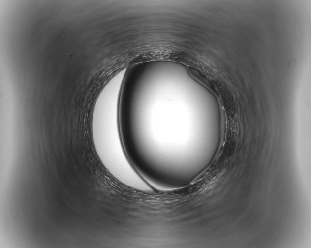X0000087060818200704180935