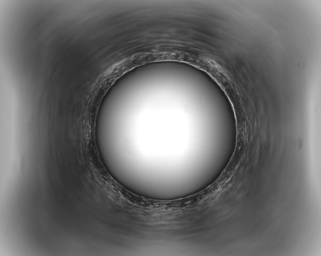 X0000087060821200704180935