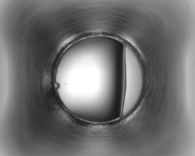 X0000087060826200704180935