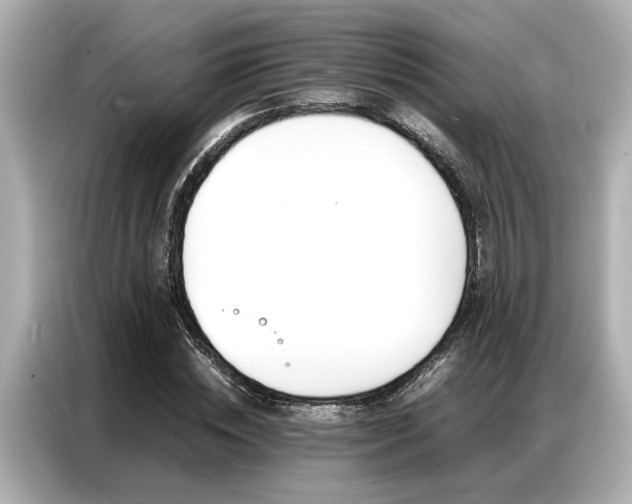 X0000087060828200704180935