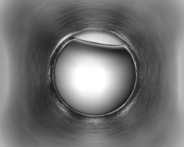 X0000087060830200704180935
