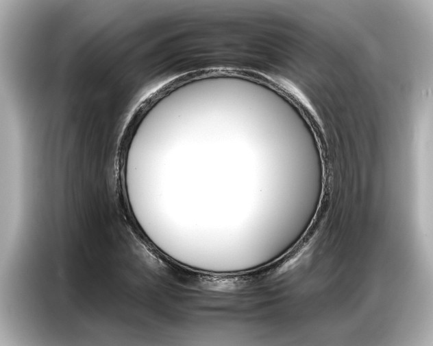 X0000087060831200704180935