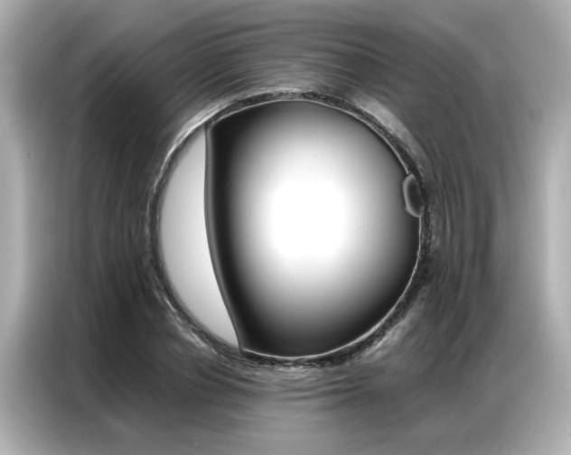 X0000087060834200704180935