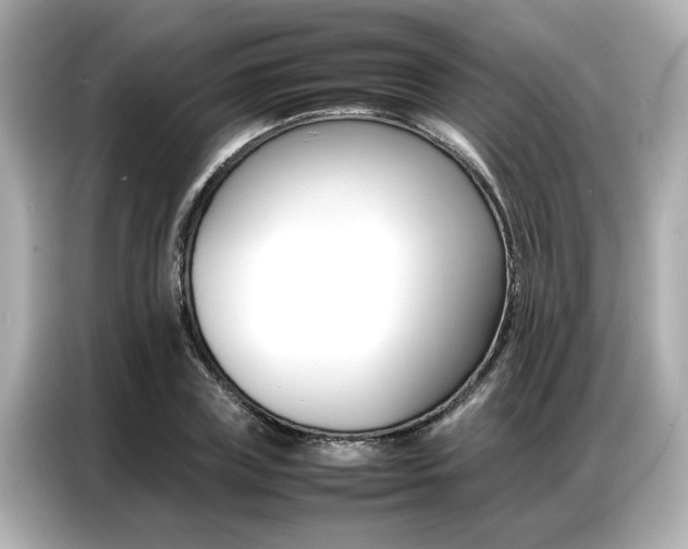 X0000087060835200704180935