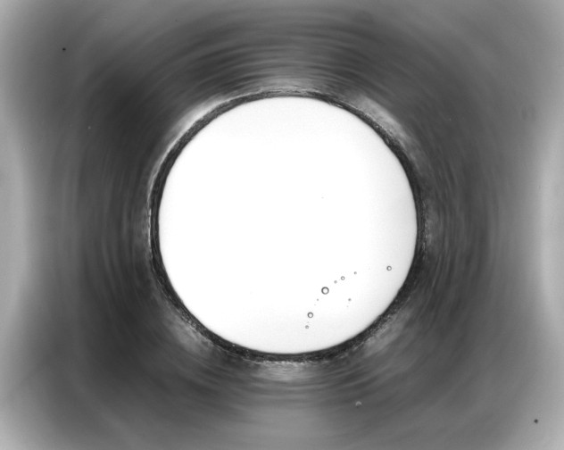 X0000087060836200704180935