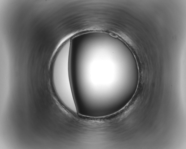 X0000087060838200704180935