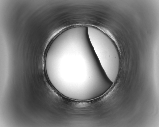 X0000087060839200704180935