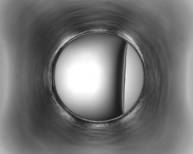 X0000087060843200704180935