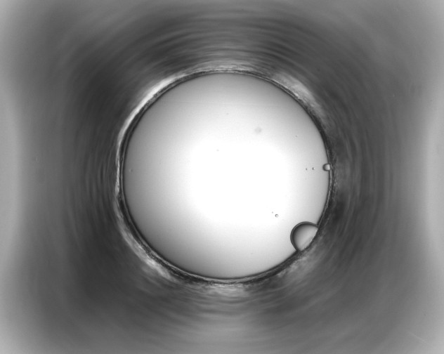 X0000087060844200704180935