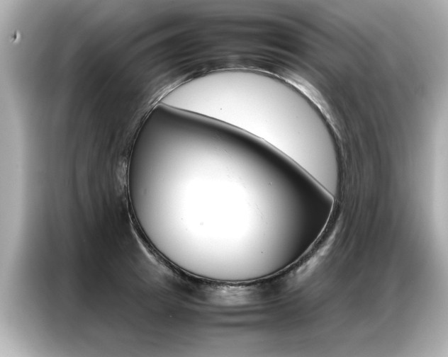 X0000087060849200704180935