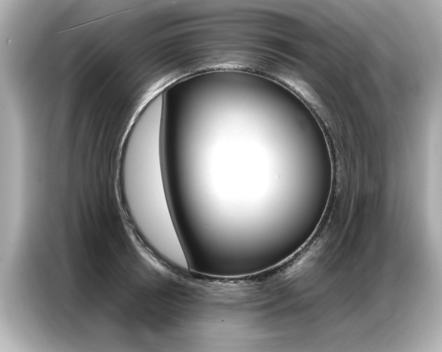 X0000087060850200704180935