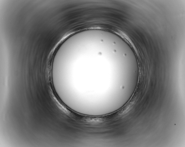 X0000087060851200704180935