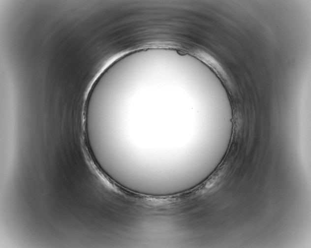 X0000087060852200704180935