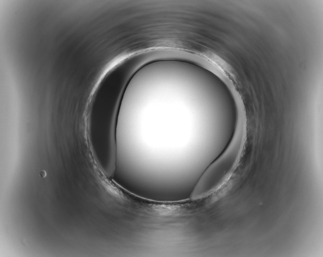 X0000087060854200704180935