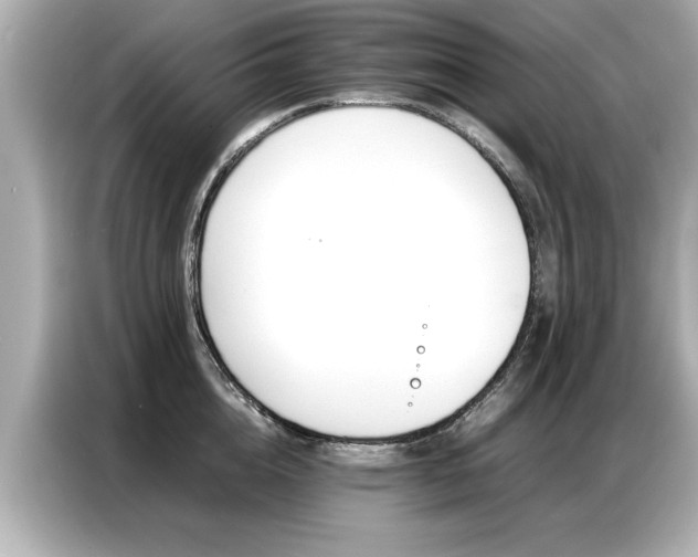 X0000087060856200704180935