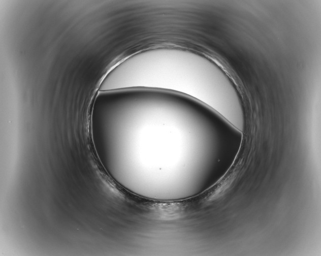 X0000087060858200704180935