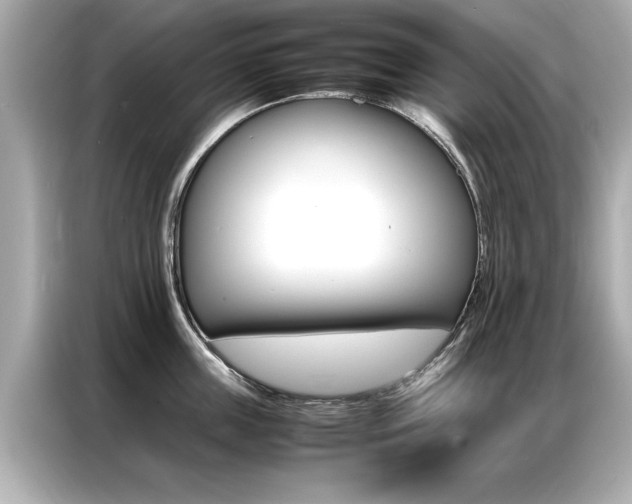 X0000087060859200704180935