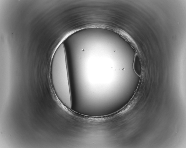X0000087060860200704180935