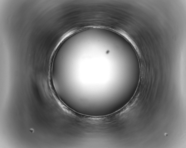 X0000087060861200704180936