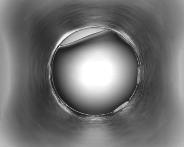 X0000087060862200704180936