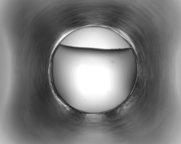 X0000087060863200704180936
