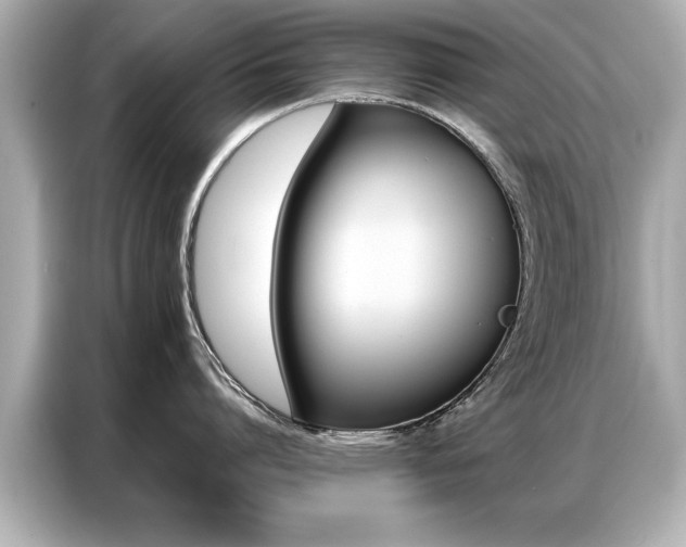 X0000087060864200704180936