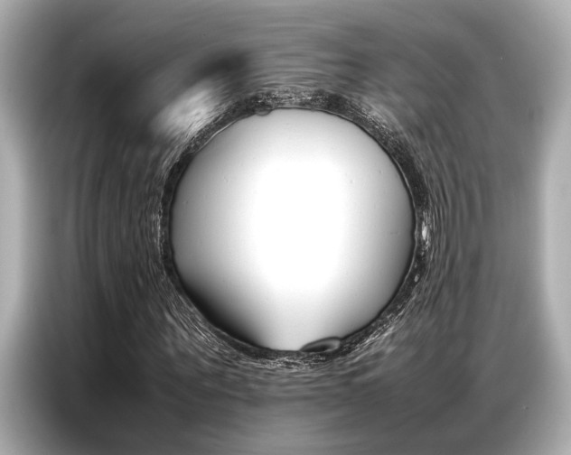 X0000087060867200704180935