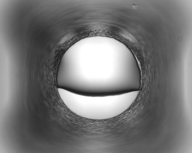 X0000087060869200704180935