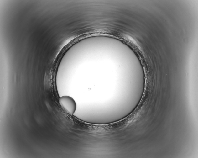 X0000087060875200704180935
