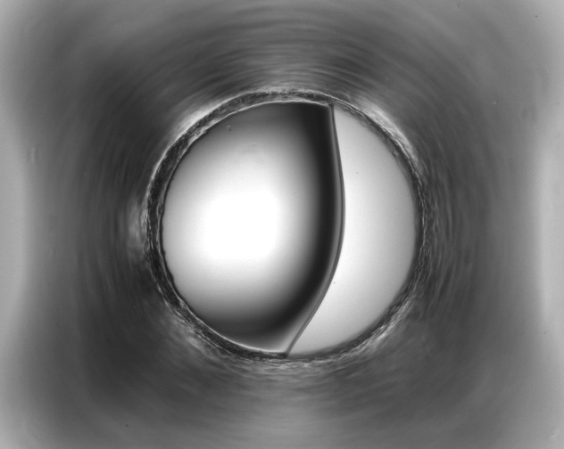 X0000087060876200704180935