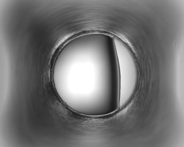 X0000087060877200704180935