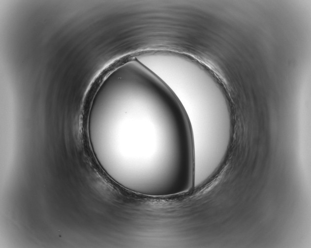 X0000087060880200704180935