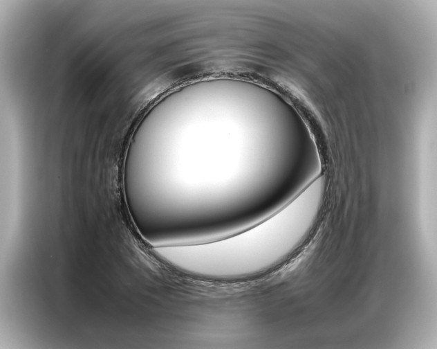 X0000087060881200704180935