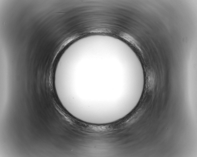 X0000087060882200704180935