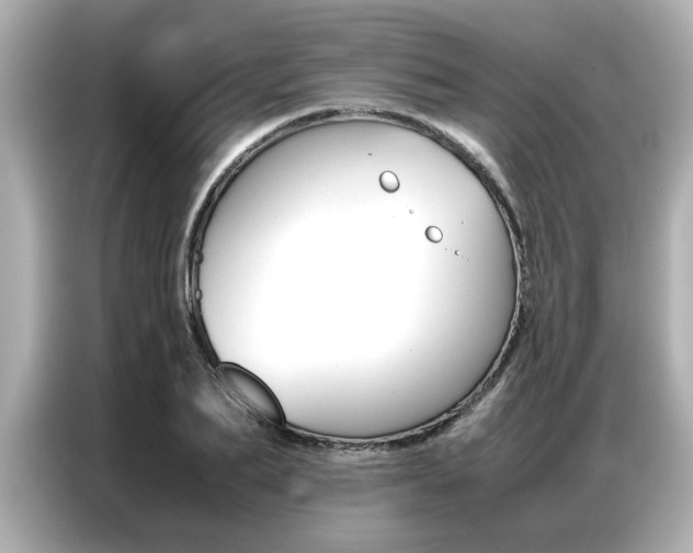 X0000087060887200704180935