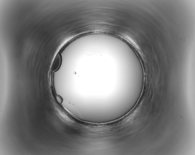 X0000087060891200704180935