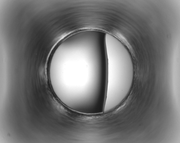 X0000087060892200704180935