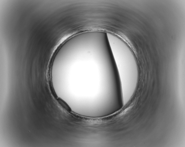 X0000087060893200704180934